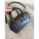 Arcadie leather bag miu miu